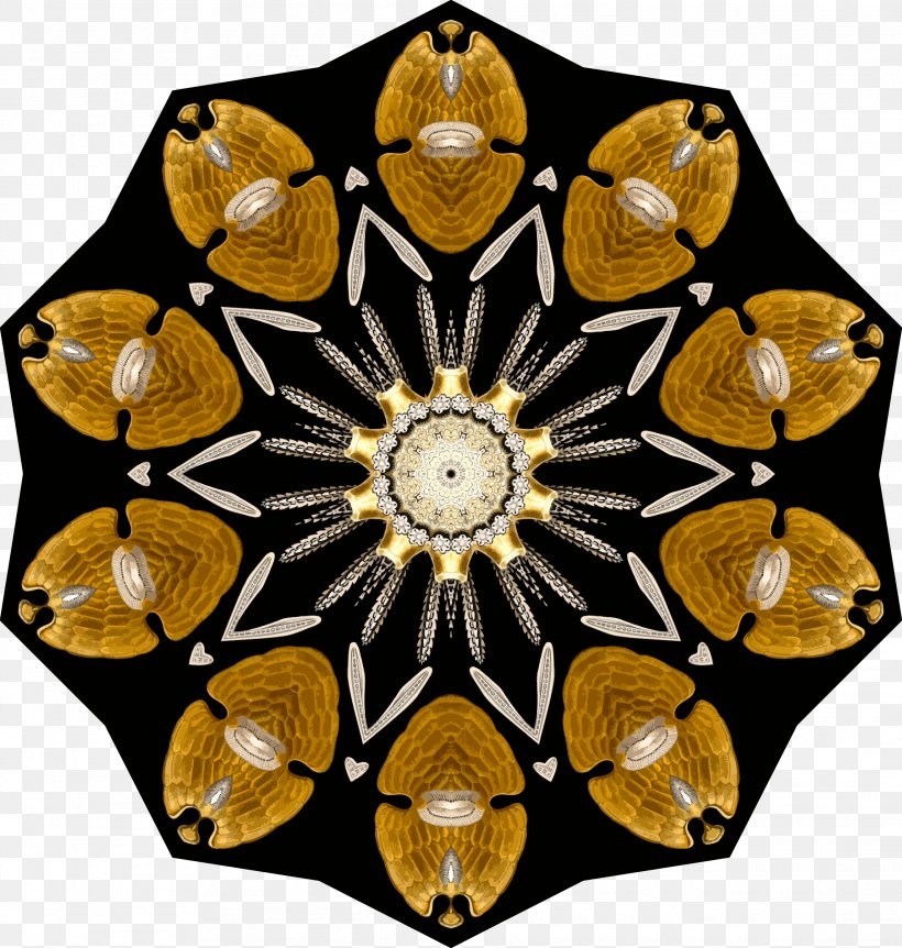 Echinidea Symmetry Pattern, PNG, 2283x2400px, Echinidea, Drawing, Rotation, Rotational Symmetry, Symmetry Download Free