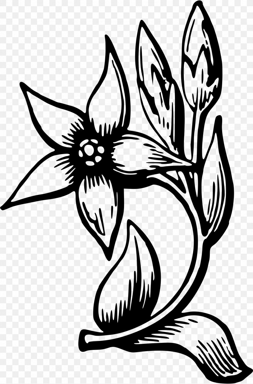 Flower Drawing Clip Art, PNG, 1585x2400px, Flower, Art, Artwork, Black And White, Coloring Book Download Free
