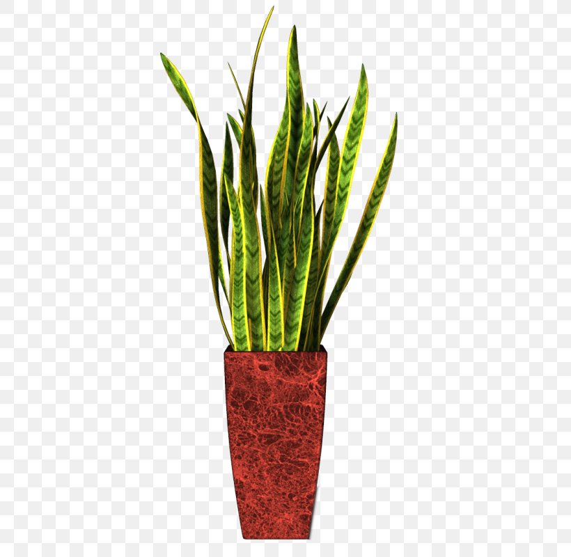 Flowerpot Houseplant Ornamental Plant Clip Art, PNG, 386x800px, Flowerpot, Cachepot, Flower, Houseplant, Leaf Download Free