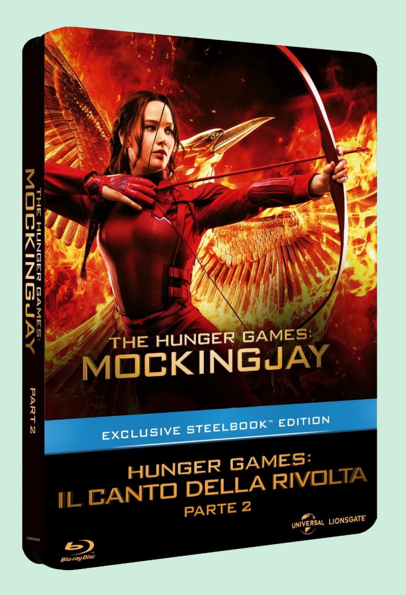 The Hunger Games Katniss Everdeen Catching Fire Peeta Mellark Film, PNG, 1024x1500px, Hunger Games, Advertising, Catching Fire, Film, Francis Lawrence Download Free