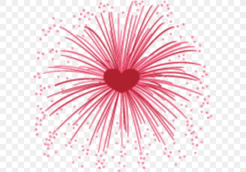 Fireworks Clip Art, PNG, 600x574px, Fireworks, Animation, Close Up, Flower, Flowering Plant Download Free