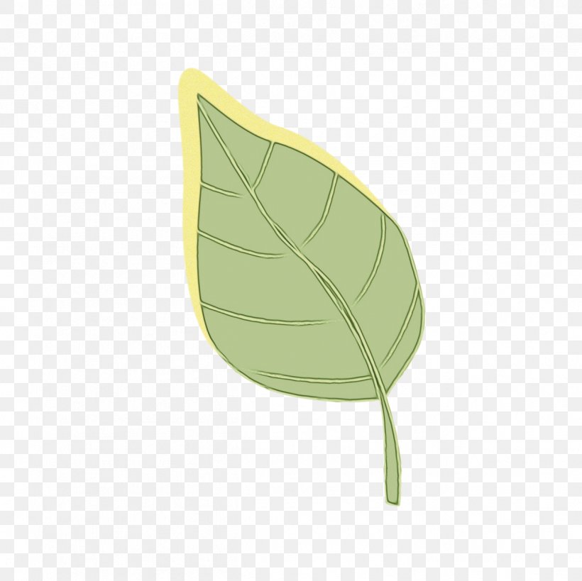 Green Leaf Background, PNG, 1251x1250px, Leaf, Anthurium, Flower, Green, Plant Download Free