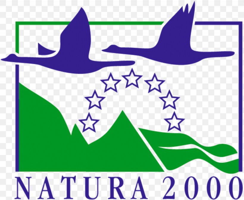 Oroklini Natura 2000 European Union Nature Natural Environment, PNG, 1025x839px, Natura 2000, Area, Artwork, Biodiversity, Birdlife Cyprus Download Free