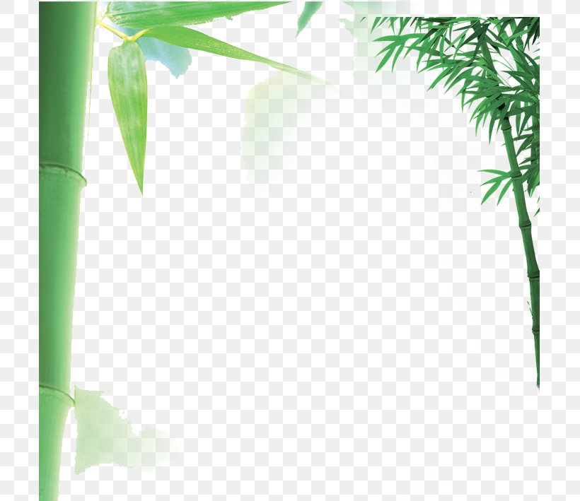 Bamboo Download, PNG, 709x709px, Bamboo, Computer Graphics, Grass, Green, Sweet Bamboo Download Free