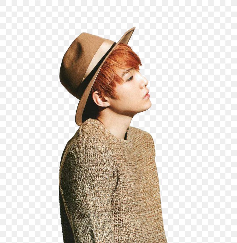 BTS K-pop Musician Wings, PNG, 599x842px, Bts, Cap, Dark Wild, Fedora, Hat Download Free