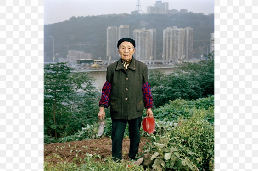 Farm Urban Agriculture Rural Area Zhong County, PNG, 940x627px, Farm, Agriculture, Asia, China, Chongqing Download Free