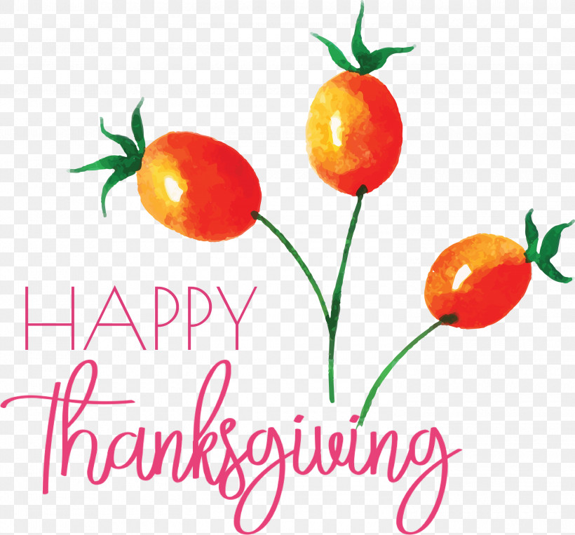 Happy Thanksgiving, PNG, 3000x2794px, Happy Thanksgiving, Flower, Fruit, Local Food, Meter Download Free