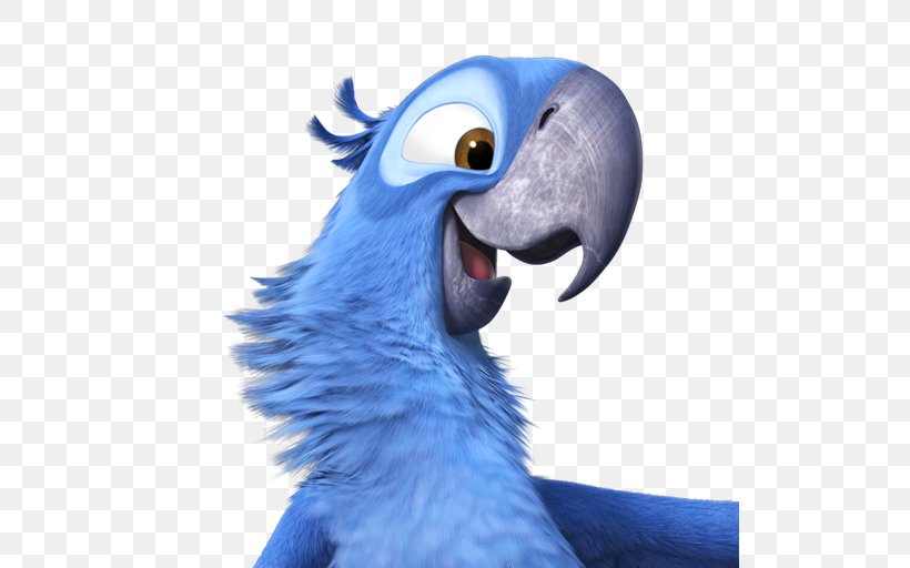 Macaw Parrot Wing Snout Parakeet, PNG, 512x512px, Jewel, Adventure Film, Anne Hathaway, Beak, Bird Download Free