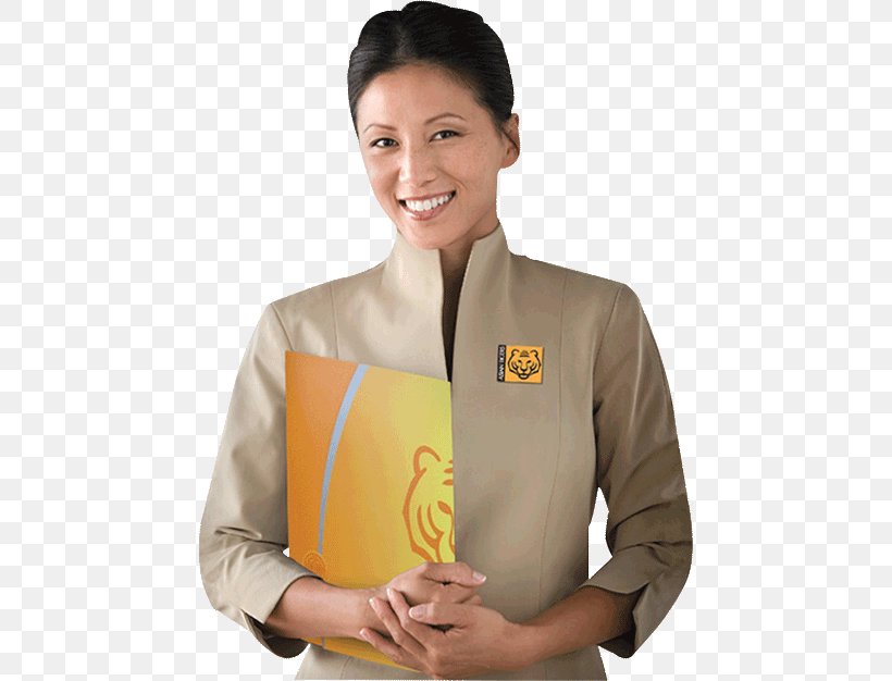Asian Tigers Mobility Thailand Four Asian Tigers Relocation Consultant, PNG, 455x626px, Four Asian Tigers, Abdomen, Arm, Asia, Consultant Download Free
