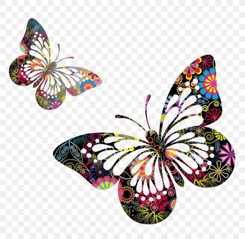 Butterfly Clip Art, PNG, 800x800px, Butterfly, Brush Footed Butterfly, Butterflies And Moths, Color, Insect Download Free