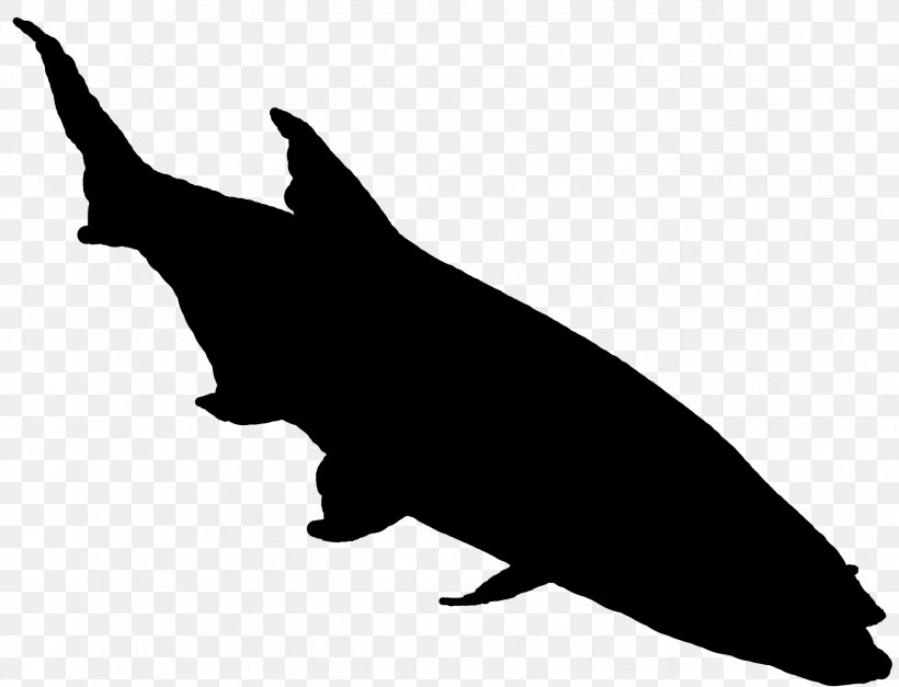 Dolphin Clip Art Fauna Silhouette Beak, PNG, 2575x1970px, Dolphin, Beak, Fauna, Fin, Fish Download Free