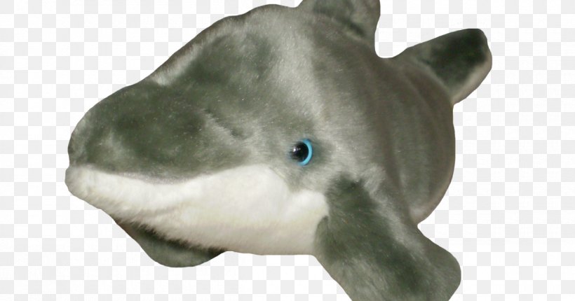 Dolphin Shark Goldfish Animal, PNG, 1200x630px, Dolphin, Animal, Animal Figure, Baby Shark, Bala Shark Download Free