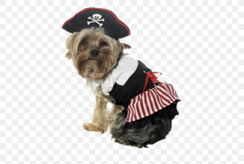 Morkie Dog Breed Puppy Yorkshire Terrier Costume, PNG, 550x550px, Morkie, Clothing, Companion Dog, Costume, Costume Party Download Free