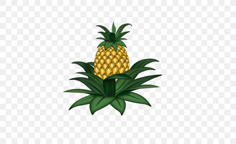 Pineapple Fruit Vegetable Legume Drawing, PNG, 500x500px, Pineapple, Ananas, Branch, Bromeliaceae, Drawing Download Free