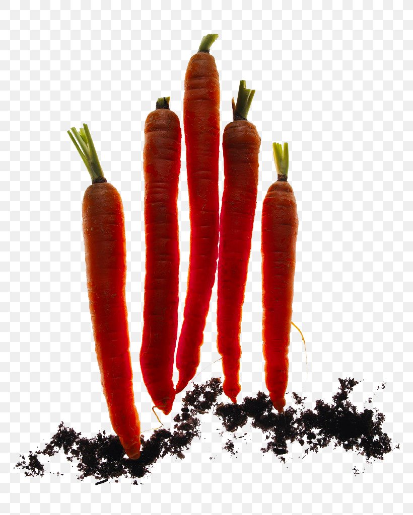 Carrot Backlight Download Icon, PNG, 766x1024px, Carrot, Backlight, Bell Peppers And Chili Peppers, Cayenne Pepper, Chili Pepper Download Free