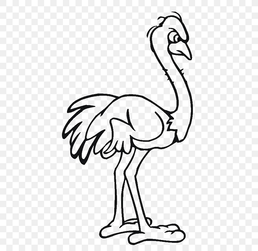 Common Ostrich Drawing Cartoon Clip Art, PNG, 600x800px, Common Ostrich, Anger, Beak, Bird, Black And White Download Free