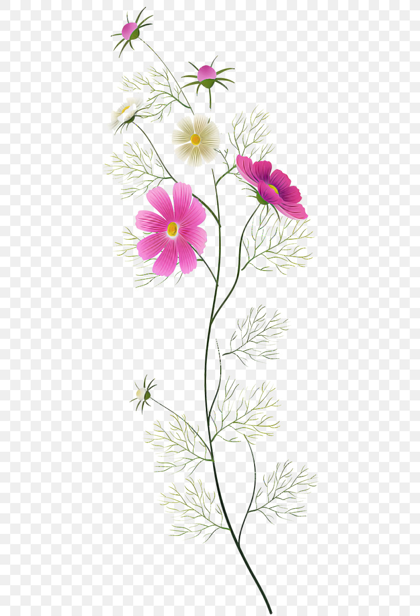 Flower Plant Pedicel Petal Pink, PNG, 435x1200px, Flower, Garden Cosmos, Pedicel, Petal, Pink Download Free