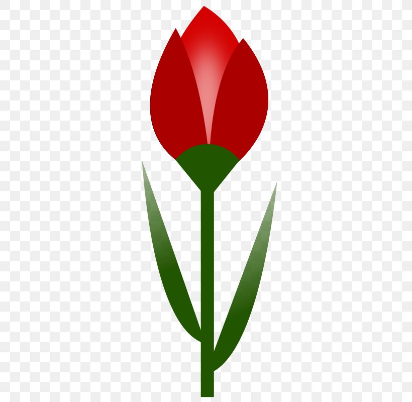 Tulip Flower Red Drawing Clip Art, PNG, 490x800px, Tulip, Blue, Color, Coloring Book, Drawing Download Free