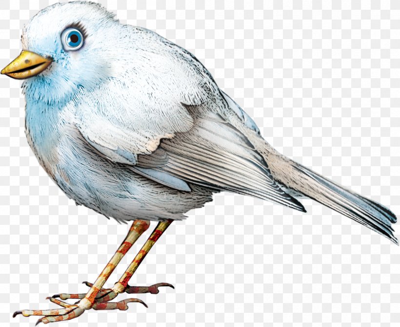 Bird Clip Art, PNG, 1254x1024px, Bird, American Sparrows, Animal, Artwork, Beak Download Free
