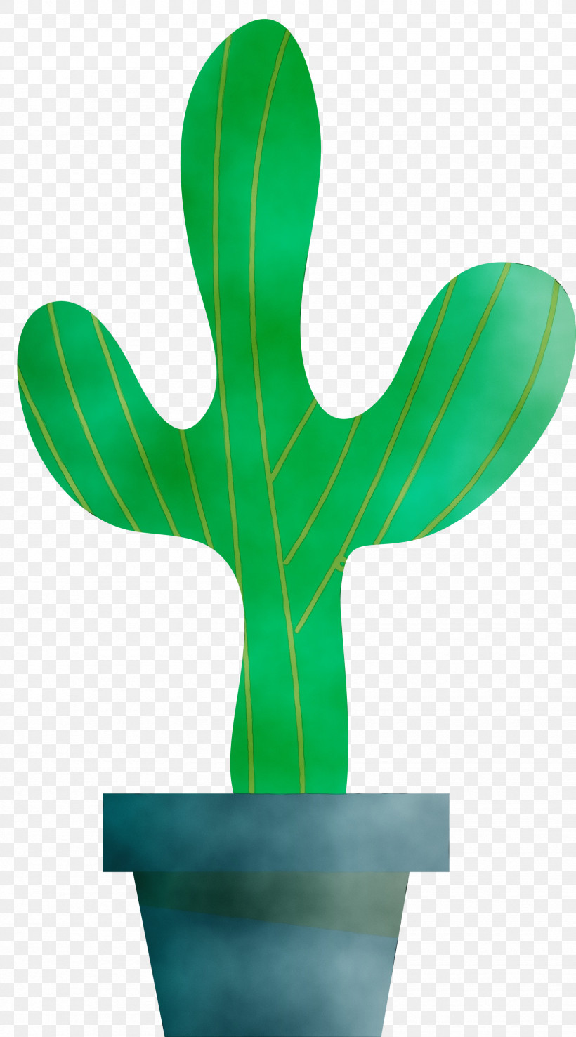 Cactus, PNG, 1665x3000px, Mexico Elements, Cactus, Color, Drawing, Green Download Free