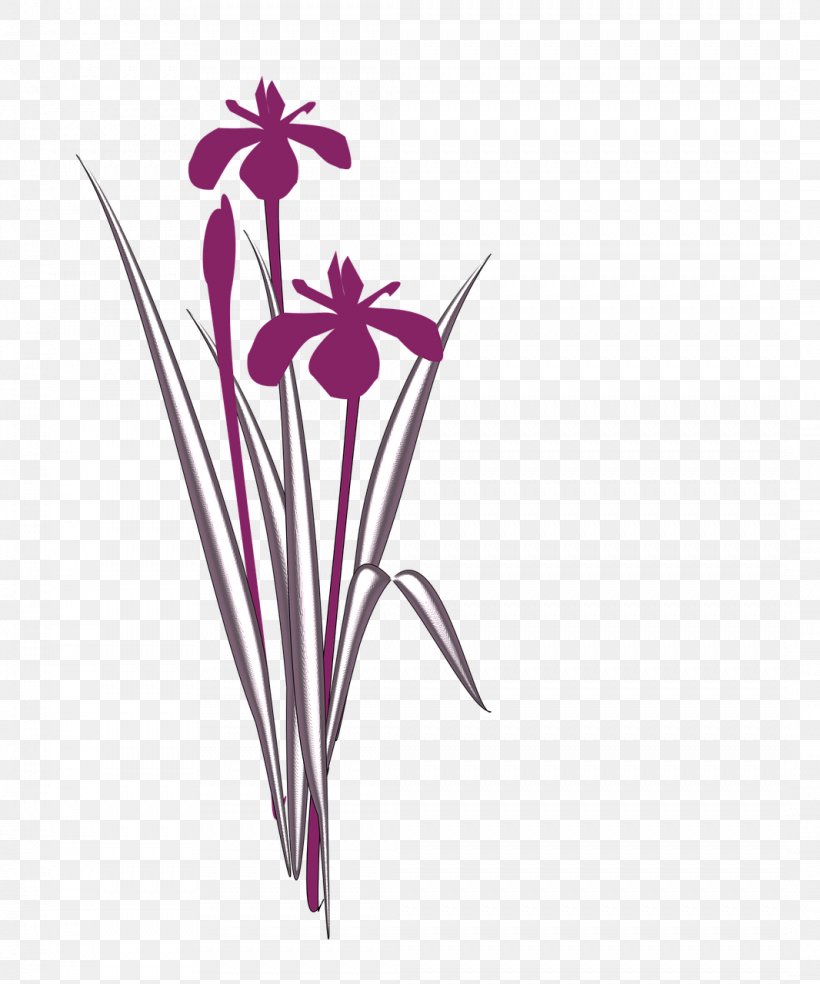 Cut Flowers Irises Floral Design, PNG, 1066x1280px, Flower, Cut Flowers, Drawing, Flora, Floral Design Download Free