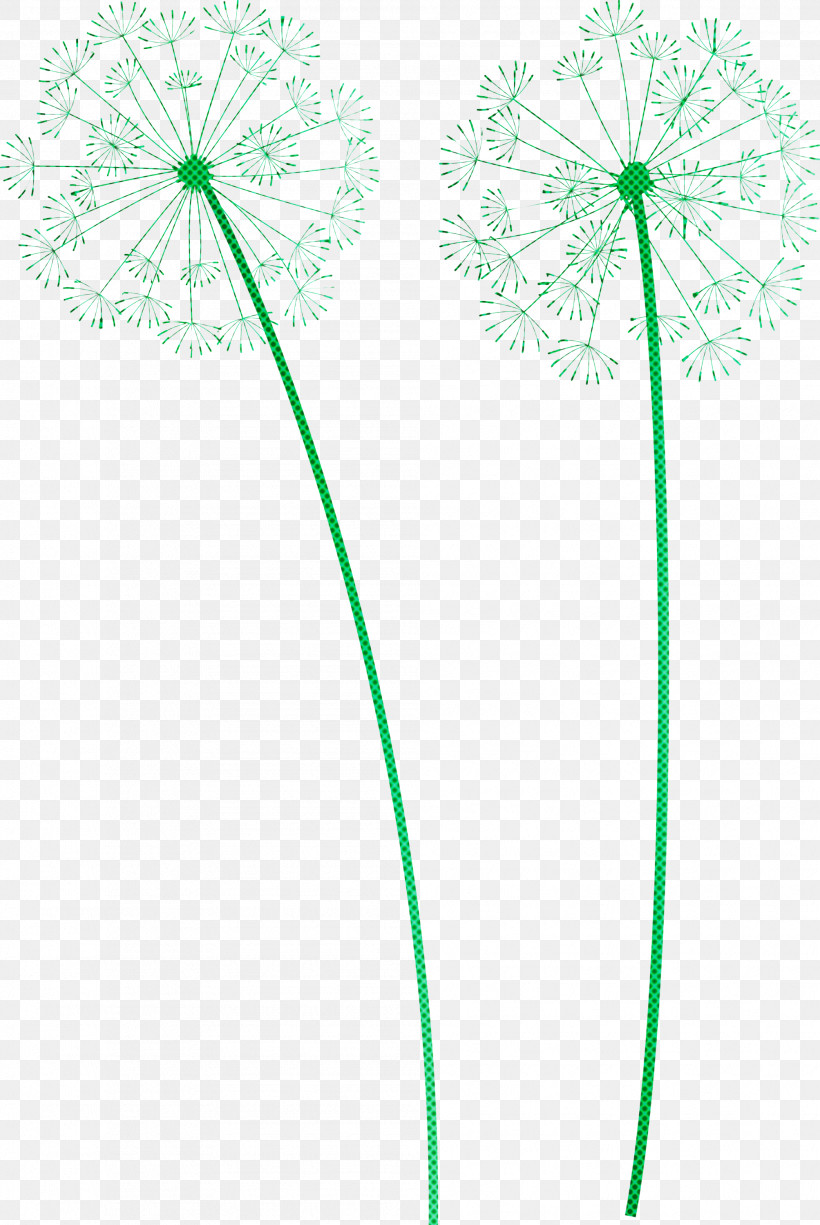 Dandelion, PNG, 2007x3000px, Dandelion, Flora, Flower, Geometry, Green Download Free