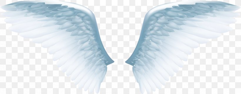 Angel Wing Icon, PNG, 1684x659px, Wing, Angel, Angel Wing, Feather, Joint Download Free