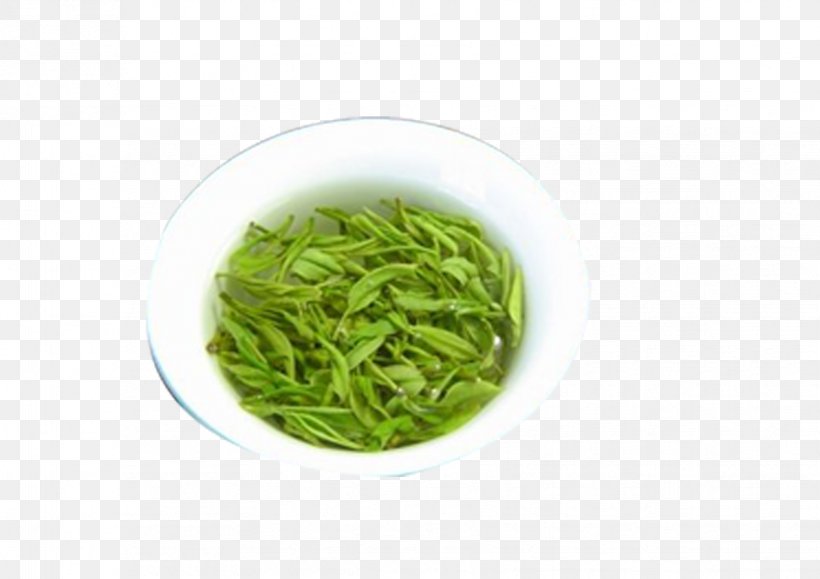 Green Tea Nanjing Yuhuacha Flowering Tea The Classic Of Tea, PNG, 1654x1169px, Tea, Biluochun, Camellia Sinensis, Chinas Famous Teas, Chinese Tea Download Free