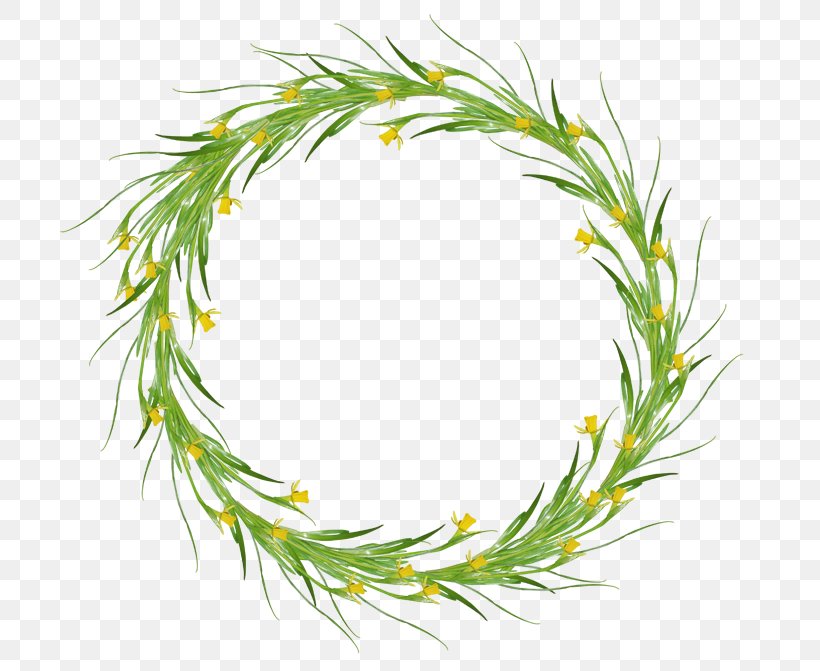 Picture Frames Image Wreath Garland, PNG, 700x671px, Picture Frames, American Larch, Blog, Colorado Spruce, Conifer Download Free