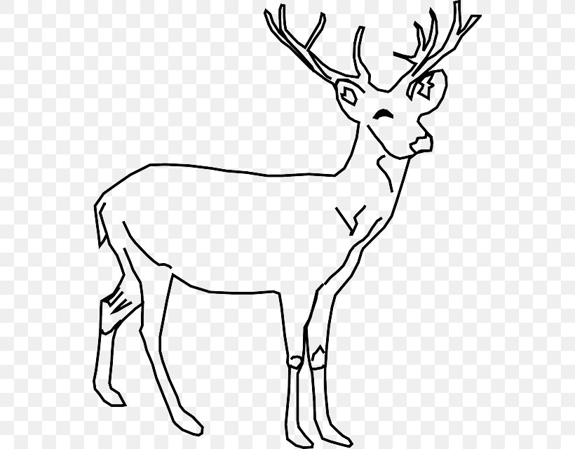 White-tailed Deer Moose Clip Art, PNG, 555x640px, Deer, Animal Figure, Antler, Black And White, Blog Download Free