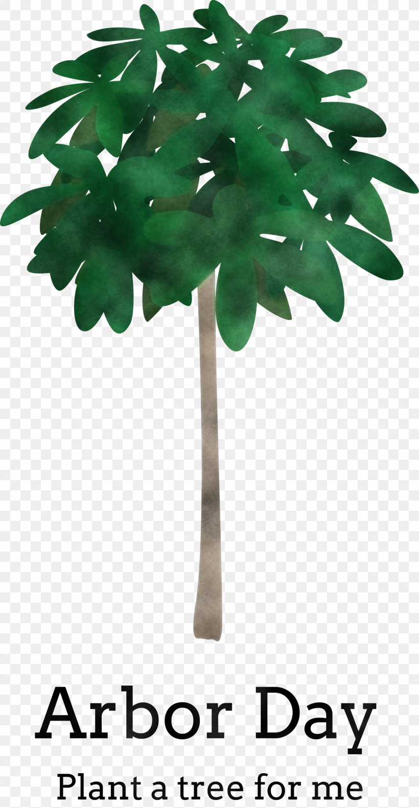 Arbor Day Green Earth Earth Day, PNG, 1554x2999px, Arbor Day, Arecales, Earth Day, Flower, Flowerpot Download Free
