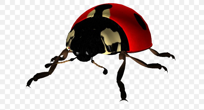 Ladybird Beetle Desktop Wallpaper Clip Art, PNG, 650x444px, Ladybird, Arthropod, Beetle, Blog, Crossstitch Download Free