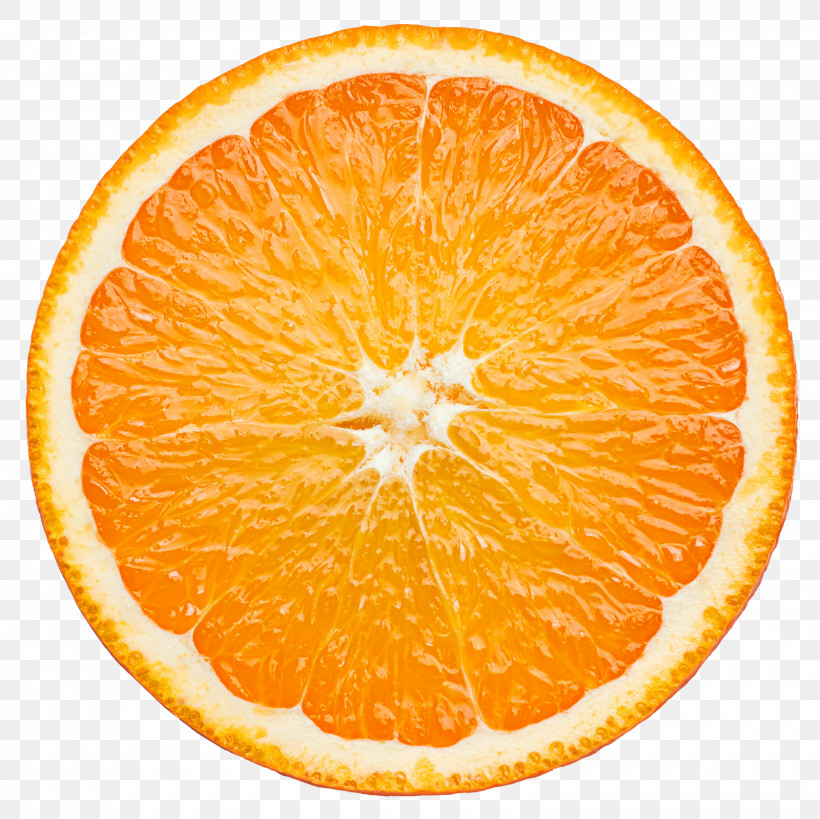 Orange, PNG, 1600x1600px, Citrus, Bitter Orange, Calamondin, Citric Acid, Citron Download Free