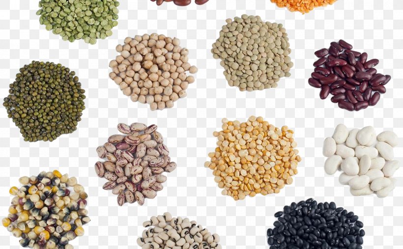 Seed Saving Agriculture Seed Library Hybrid Seed, PNG, 1200x742px, Seed, Agriculture, Bean, Commodity, Crop Download Free