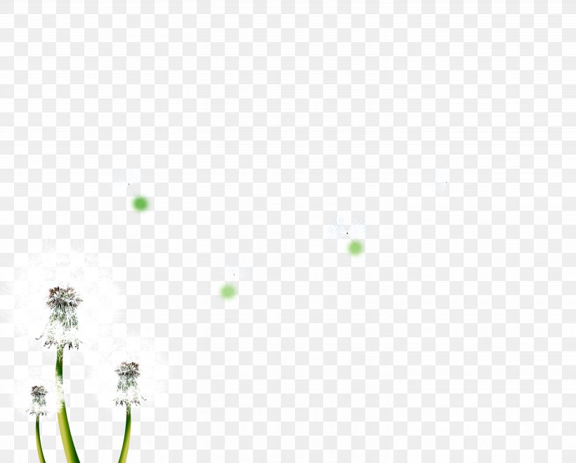 Butterfly Green Angle Pattern, PNG, 6024x4843px, Butterfly, Green, Nature, Point, Rectangle Download Free
