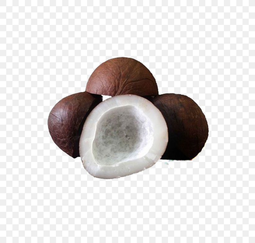 Coconut Dried Fruit Copra Food Drying Areca Nut, PNG, 600x780px, Coconut, Areca Nut, Coconut Milk Powder, Coconut Oil, Copra Download Free