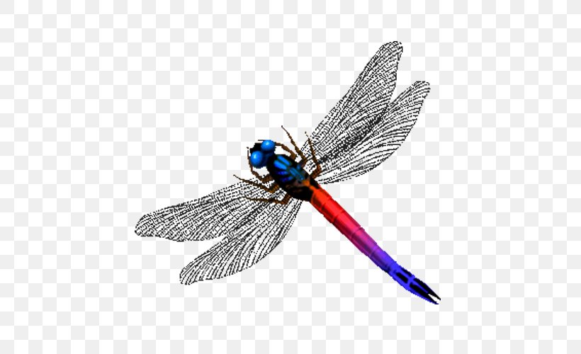 Dragonfly Insect, PNG, 500x500px, Dragonfly, Arthropod, Cartoon, Dragonflies And Damseflies, Entertainment Download Free