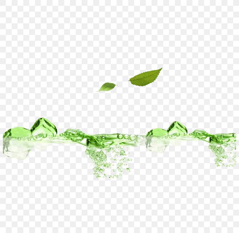 Green Modern Plant Decoration, PNG, 800x800px, Green, Area, Border, Graphic Designer, Grass Download Free
