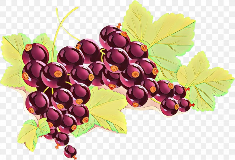 Leaves Background, PNG, 3069x2094px, Grape, Berries, Berry, Boysenberry, Branch Download Free