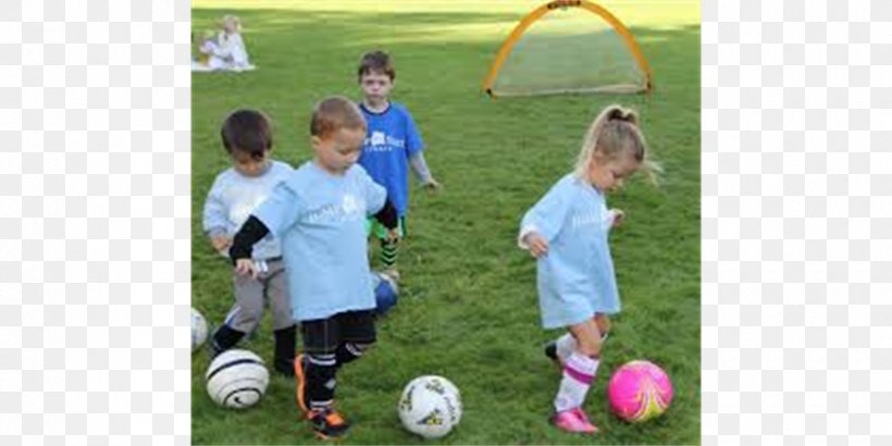 Team Sport Toddler Recreation Tournament Leisure, PNG, 900x450px, Team Sport, Ball, Ball Game, Child, Community Download Free