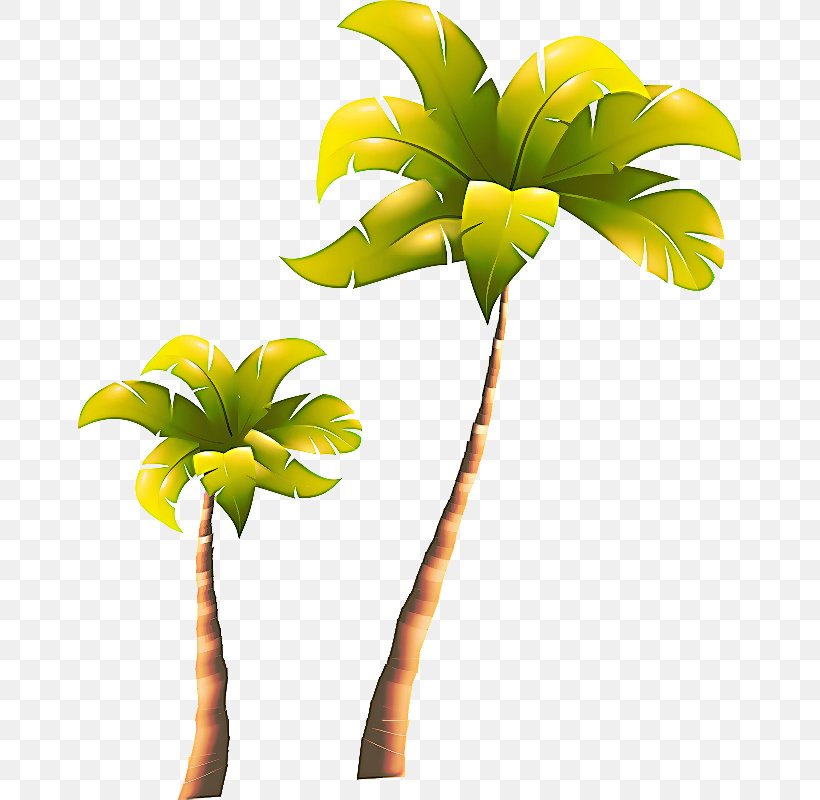 Coconut Tree Cartoon, PNG, 663x800px, Palm Trees, Anchor, Arecales, Coconut, Cut Flowers Download Free