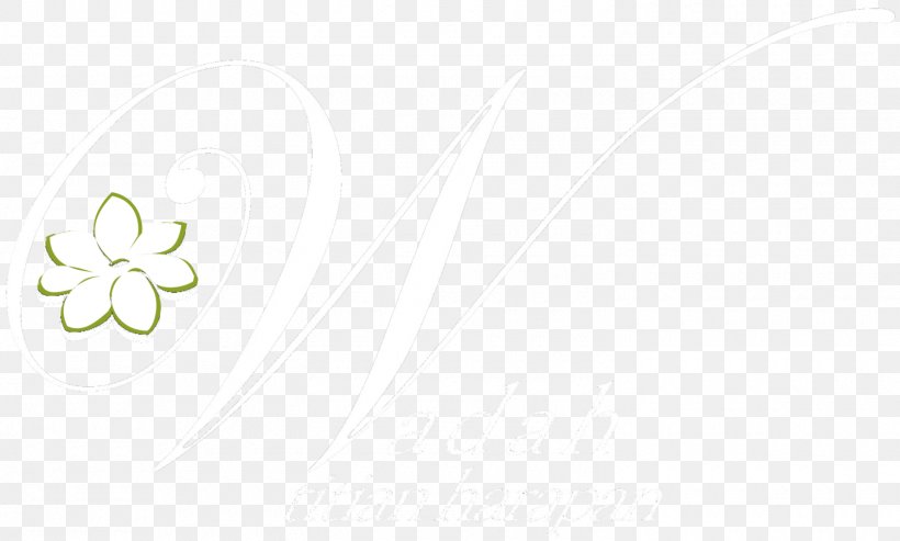 Desktop Wallpaper Font, PNG, 1500x902px, Plant, Computer, Flowering Plant, Green, Petal Download Free