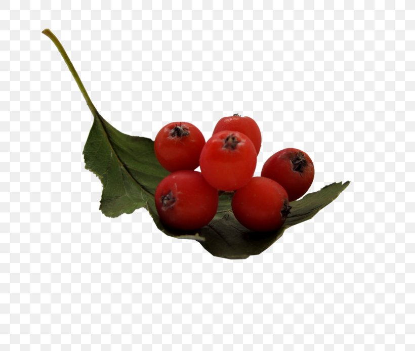 Fruit Image Sharing Cranberry Berries Rose Hip, PNG, 800x694px, Fruit, Berries, Berry, Blog, Cherry Download Free