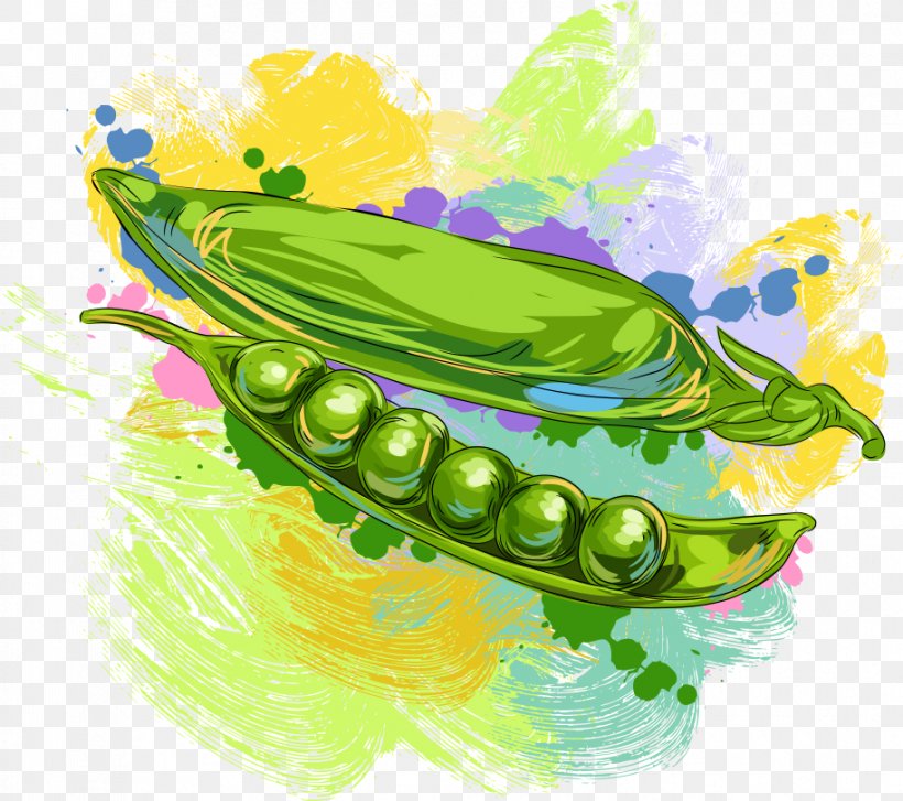 Fruit Vegetable Pea Illustration, PNG, 914x811px, Fruit, Art, Auglis, Avocado, Capsicum Annuum Download Free