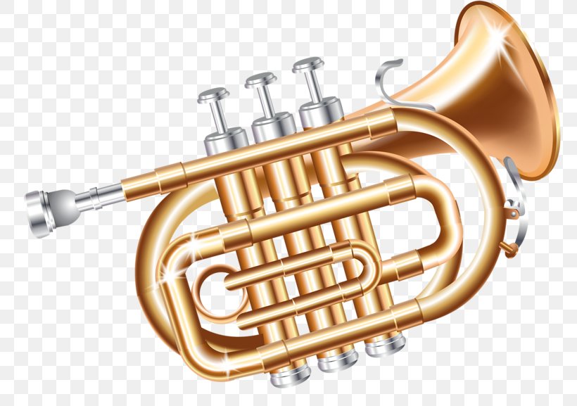 Musical Instrument Brass Instrument Wind Instrument Trumpet, PNG, 800x577px, Watercolor, Cartoon, Flower, Frame, Heart Download Free