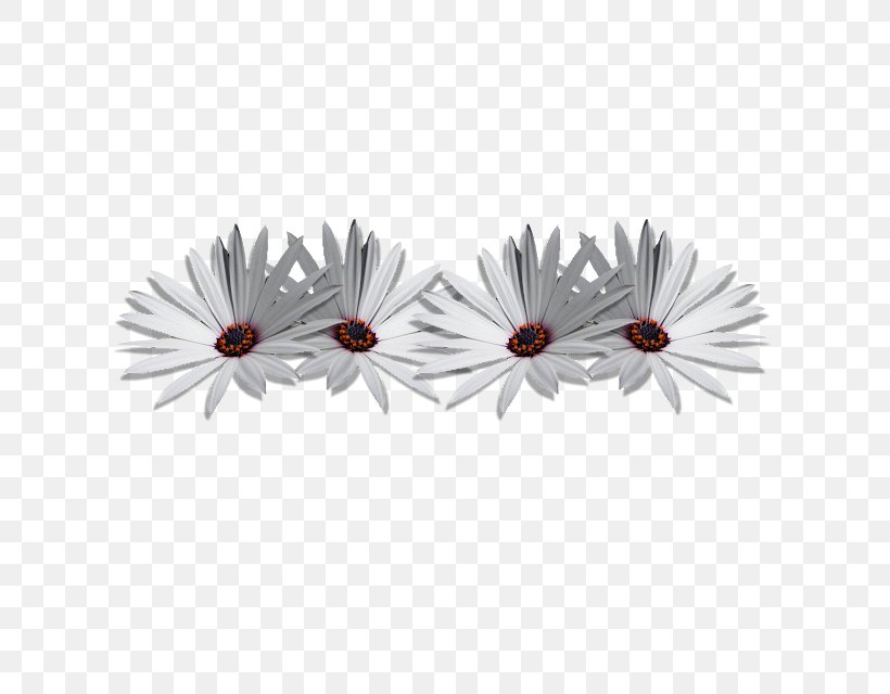 Petal Flower Blog God, PNG, 640x640px, Petal, Blog, Blossom, Common Daisy, Email Download Free