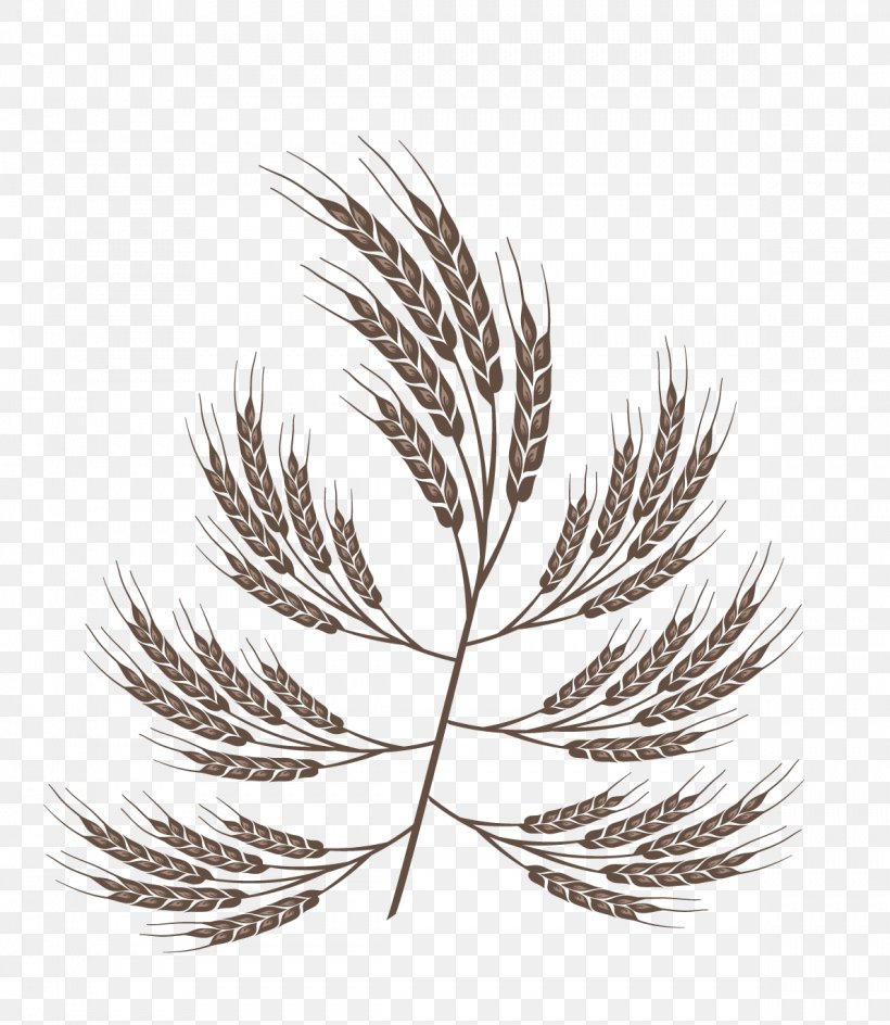 Graphic Design Wheat, PNG, 1189x1370px, Wheat, Black And White, Branch, Drawing, Flowering Plant Download Free
