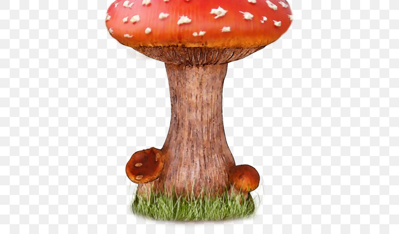 Mushroom Cartoon, PNG, 640x480px, Mushroom, Agaric, Agaricaceae, Agaricomycetes, Agaricus Download Free