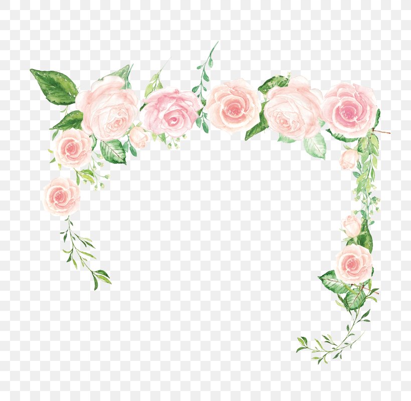 Pink Flower Rose Green, PNG, 800x800px, Pink, Border, Cut Flowers, Floral Design, Floristry Download Free