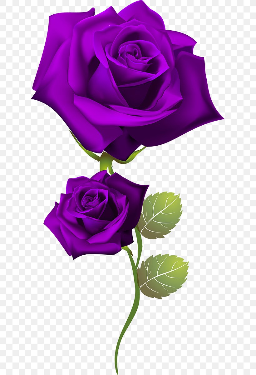 Rose Clip Art, PNG, 621x1200px, Rose, Chart, Cut Flowers, Flora, Floral Design Download Free